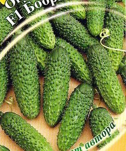 Огурец Бобрик F1 10 шт.корнишон автор.