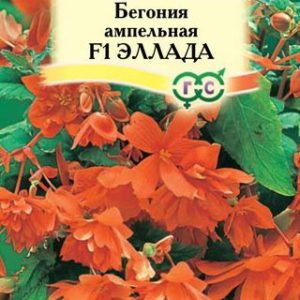 Бегония Эллада F1 амп. гранул. 5 шт. пробирка