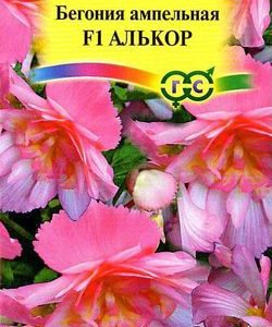 Бегония Алькор F1 амп. гранул. 4 шт.пробирка