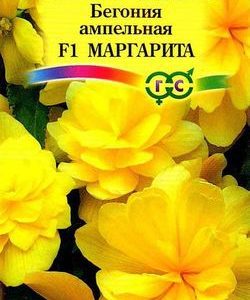 Бегония Маргарита F1 амп. гранул. 4 шт. пробирка
