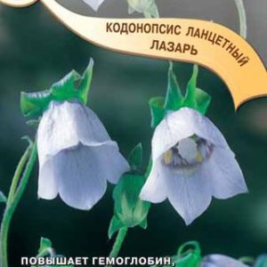 Кодонопсис ланцетный Лазарь* 0,05 г