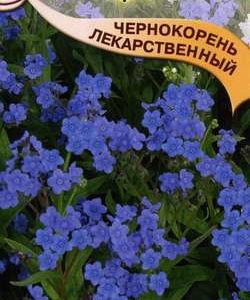 Чернокорень лекарственный 5 шт.