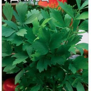 Любисток Удалец 0,5 г