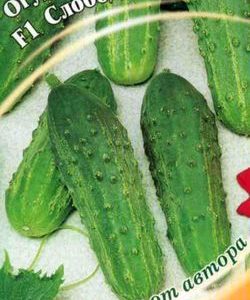 Огурец Слободской F1 10 шт. автор.