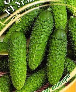 Огурец Углич F1 10 шт.корнишон автор.