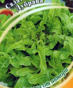 Салат Дубрава 1,0 г листовой,маслянистый автор.