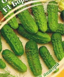 Огурец Боровичок F1 10 шт. автор.