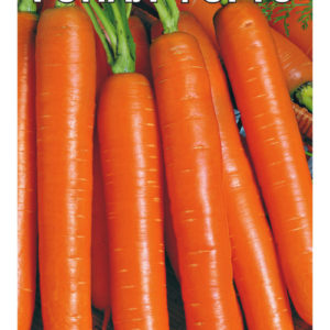 Морковь Форто (Ройал) 2,0 г