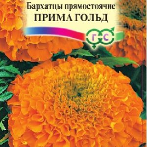 Бархатцы пр. Прима Гольд (Тагетес) 0,3 г