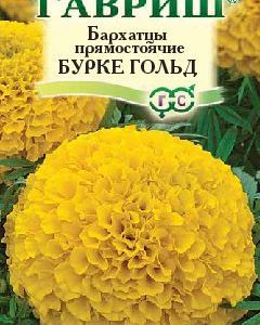 Бархатцы пр. Бурке Гольд (Тагетес) 0,3 г