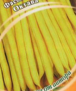 Фасоль Октава 10 шт. автор.