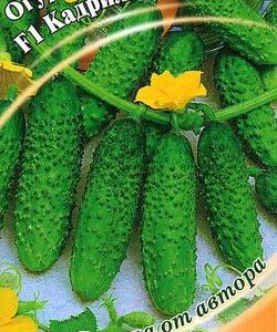 Огурец Кадриль F1 10 шт.корнишон автор.