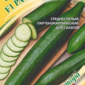 Огурец Рафаэль F1 10 шт. автор.