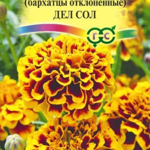 Бархатцы откл. Дел Сол (Тагетес) 0,3 г