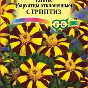 Бархатцы откл. Стриптиз (Тагетес) 0,3 г