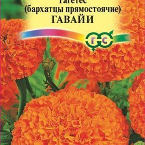 Бархатцы пр. Гавайи (Тагетес) 0,3 г