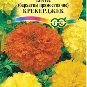 Бархатцы пр. Крекерджек (Тагетес) 0,3 г