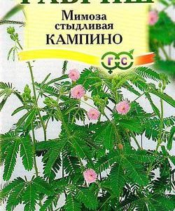 Мимоза стыдливая Кампина* 0,1 г