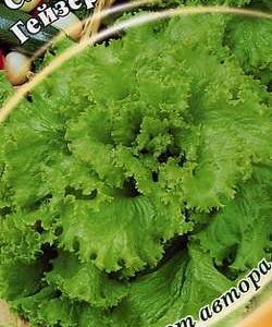 Салат Гейзер 1,0 г листовой автор.