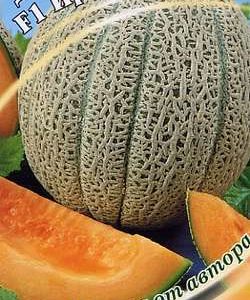 Дыня Ирокез F1 15 шт. автор.