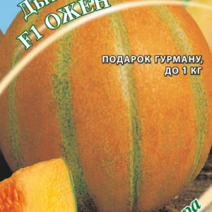 Дыня Ожен F1 15 шт. автор.