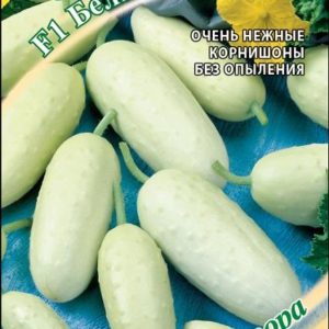 Огурец Белый ангел F1 10 шт.корнишон автор.