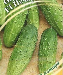 Огурец Печора 10 шт.корнишон автор.