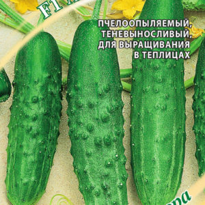 Огурец Атлет F1 10 шт. автор.