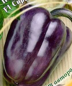 Перец Сиреневый туман F1 10 шт. автор.