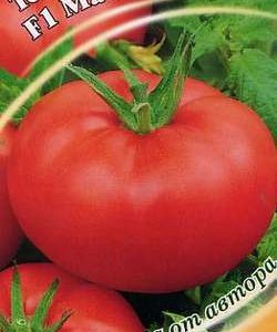 Томат Мастер F1 12 шт. автор.