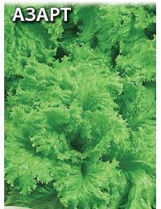 Салат Азарт 1,0 г листовой сер. Огород без хлопот