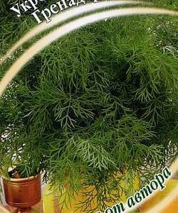 Укроп Гренадер 2,0 г автор.