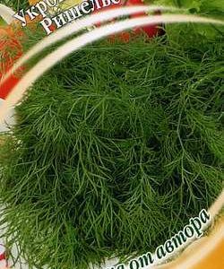 Укроп Ришелье 2,0 г автор.