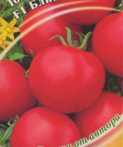 Томат Блиц F1 12 шт. автор.