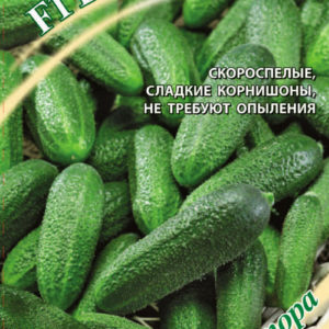 Огурец Бенефис F1 10 шт.корнишон автор.