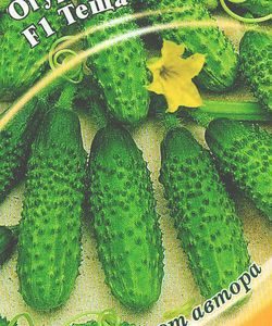 Огурец Теща F1 10 шт.корнишон автор.
