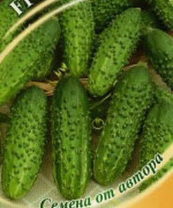 Огурец Пролетарский F1 10 шт. автор.