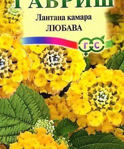Лантана Камара Любава* 0,1 г