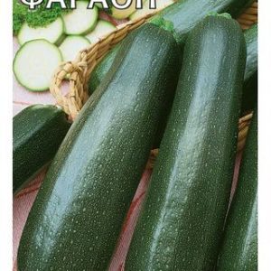 Кабачок Фараон 2 г