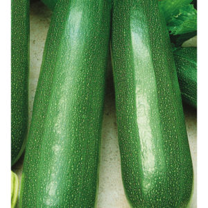 Кабачок Цукеша 2 г