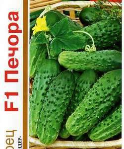 Огурец Печора F1 серия 1+1/20 шт.корнишон автор.