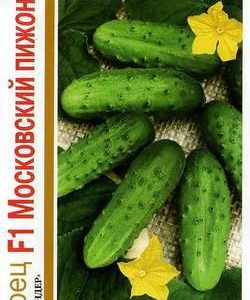 Огурец Московский Пижон F1 серия 1+1/20 шт. автор.