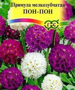 Примула Пон-пон , мелкозубчатая *, смесь 0,03 г сер. Альпийская горка