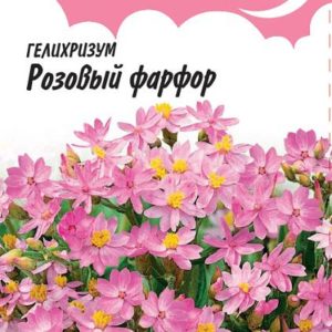 Гелихризум Розовый фарфор 0,1 г , серия Розовые сны