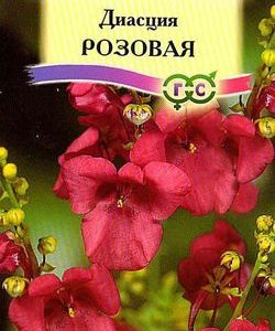 Диасция розовая* 0,01