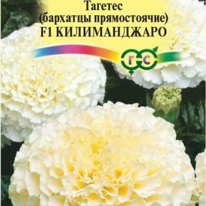 Бархатцы пр. Килиманджаро F1 (Тагетес) 0,05 г
