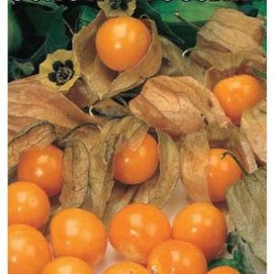 Физалис Золотая россыпь* 20 шт.