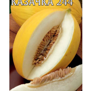 Дыня Казачка 244 1 г