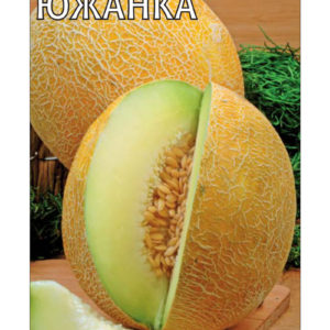 Дыня Южанка 1 г