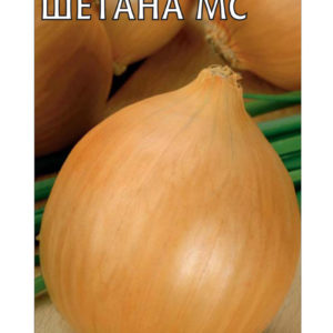 Лук репч. Шетана МС 0,5 г